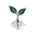 Radiant Roots logo